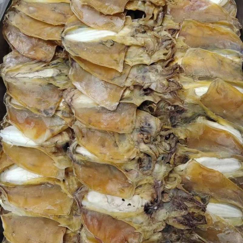 大量批发墨鱼干规格齐全，质量保证欢迎电话联系