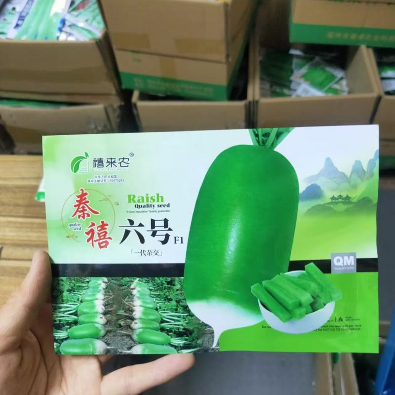 秦禧六号水果萝卜种子早熟耐热性好绿皮绿肉口感好春夏秋种