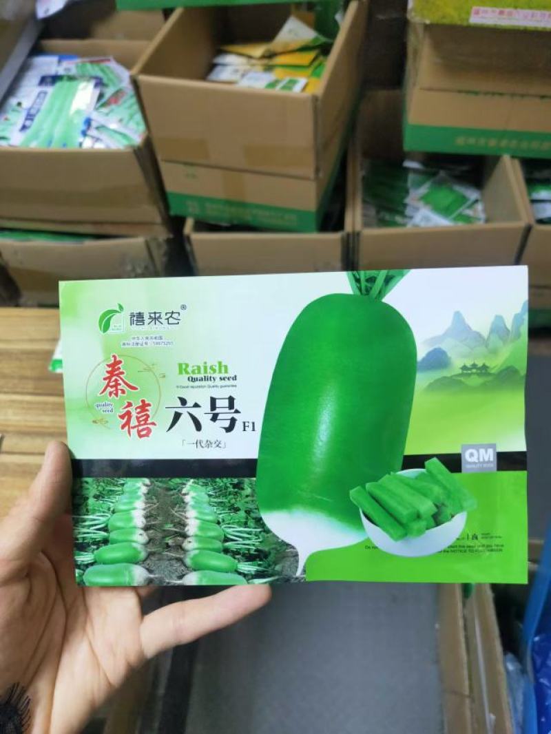 秦禧六号水果萝卜种子早熟耐热性好绿皮绿肉口感好春夏秋种