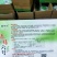 秦禧六号水果萝卜种子早熟耐热性好绿皮绿肉口感好春夏秋种