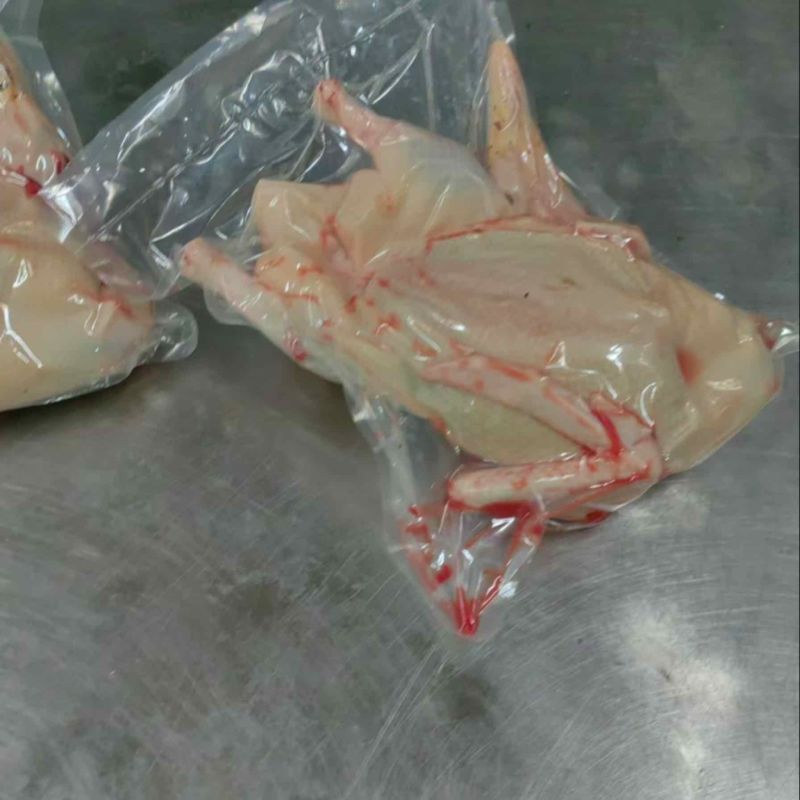 老鸭，货源充足，产地直发，诚信经营，欢迎客商来电
