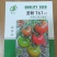 口感西红柿种子水果番茄种子西红柿种子绿肩口感酸甜口感番茄