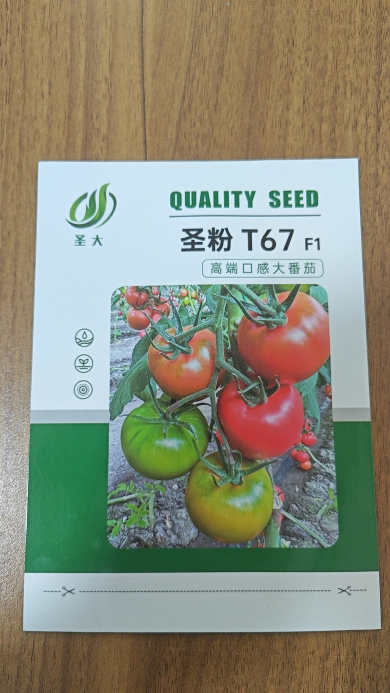 口感西红柿种子水果番茄种子西红柿种子绿肩口感酸甜口感番茄
