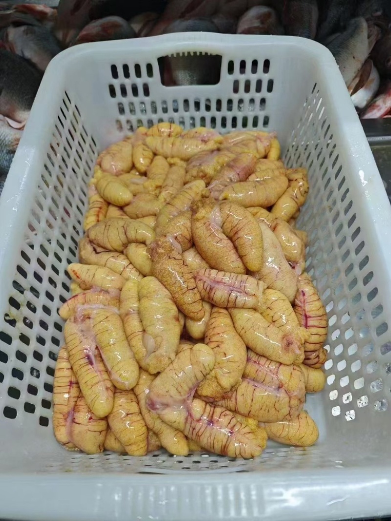 鲈鱼籽黄金鱼子鱼蛋纯鱼籽干锅火锅鱼杂批发