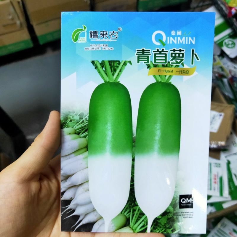韩国青玉青首萝卜种子表皮光滑1/2青头春秋抗抽苔农户