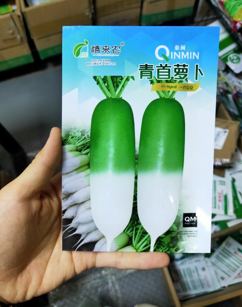 韩国青玉青首萝卜种子表皮光滑1/2青头春秋抗抽苔农户
