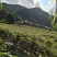 香椿种植基地直发，预计11月下旬开始采收，接受预订