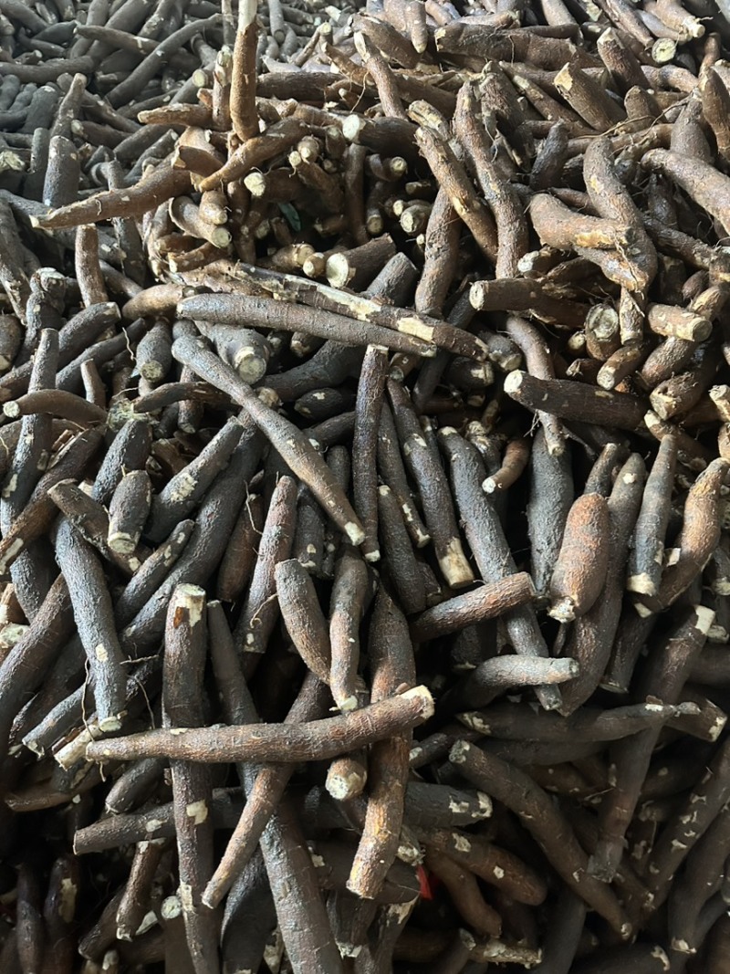 黄肉木薯，大量现货，当天新鲜挖，