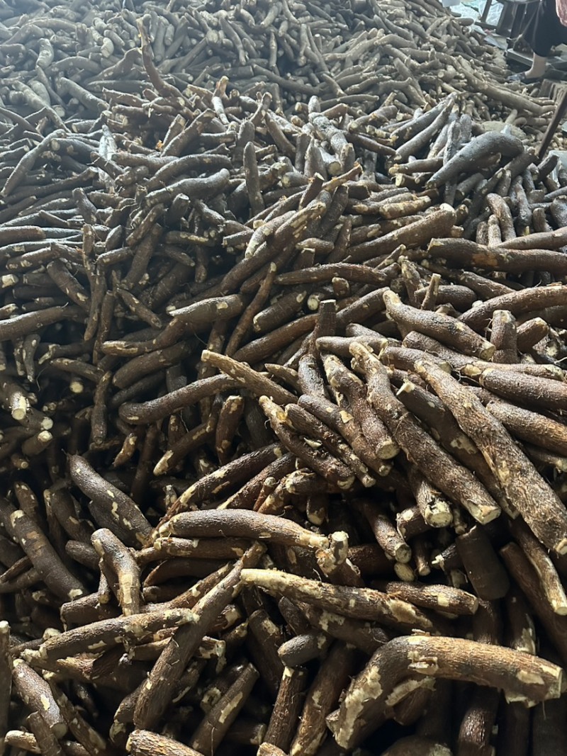 黄肉木薯，大量现货，当天新鲜挖，
