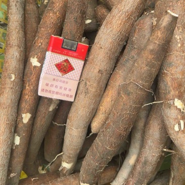 黄肉木薯，大量现货，当天新鲜挖，