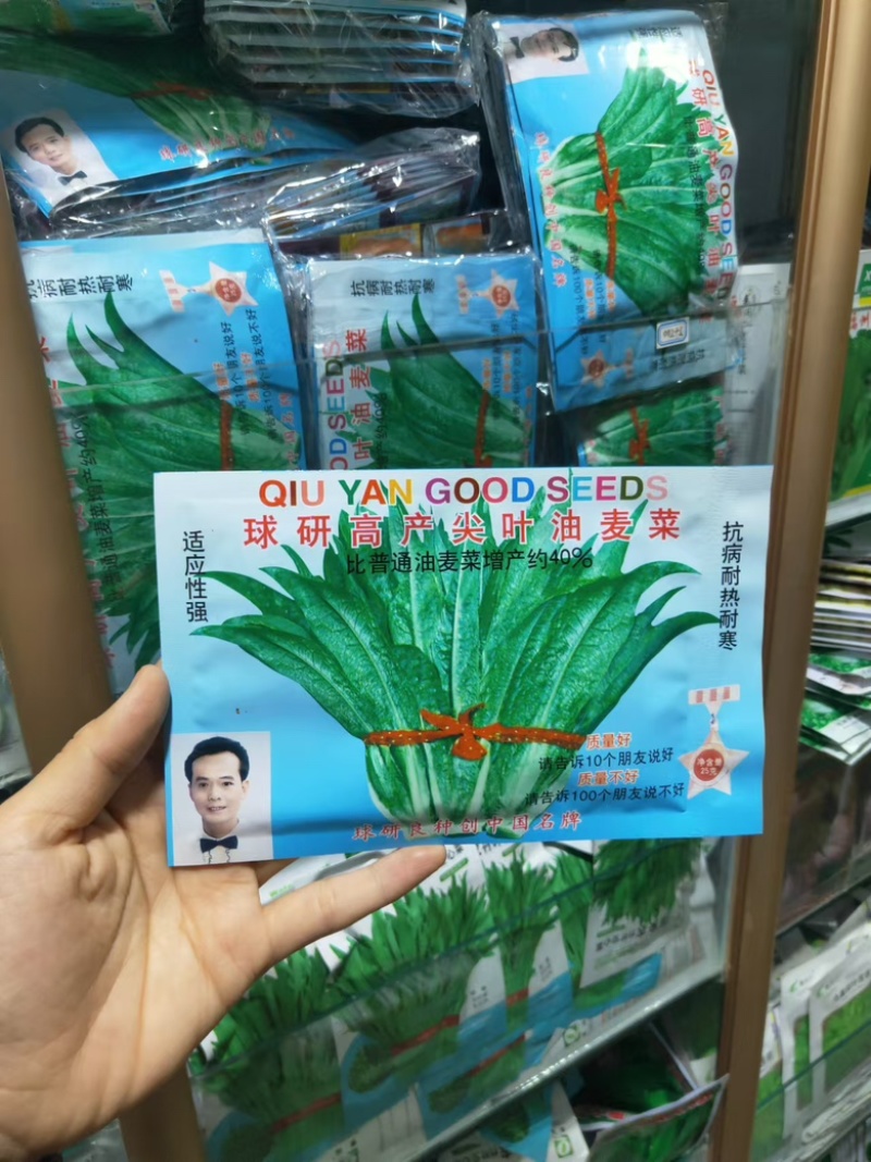 球研尖叶油麦菜种子耐寒农庄种植香油麦菜四季播种