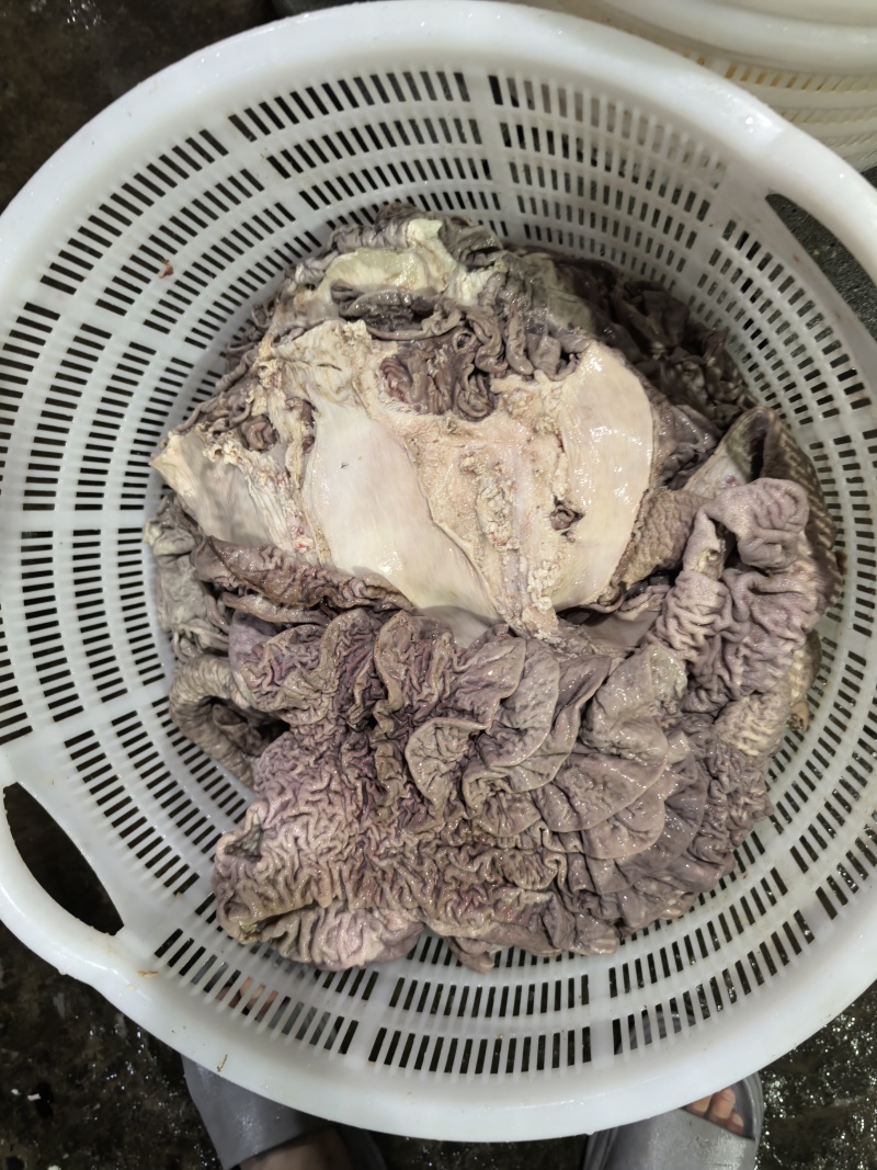 牛散带牛散肚