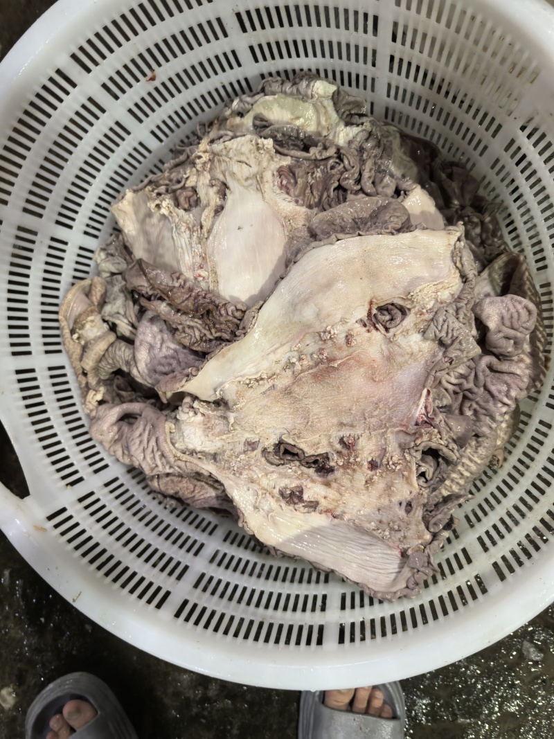 牛散带牛散肚