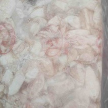 精品大花鲢鱼内泡到货，有需要联系