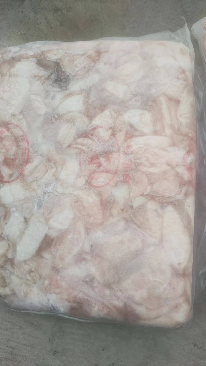 精品大花鲢鱼内泡到货，有需要联系