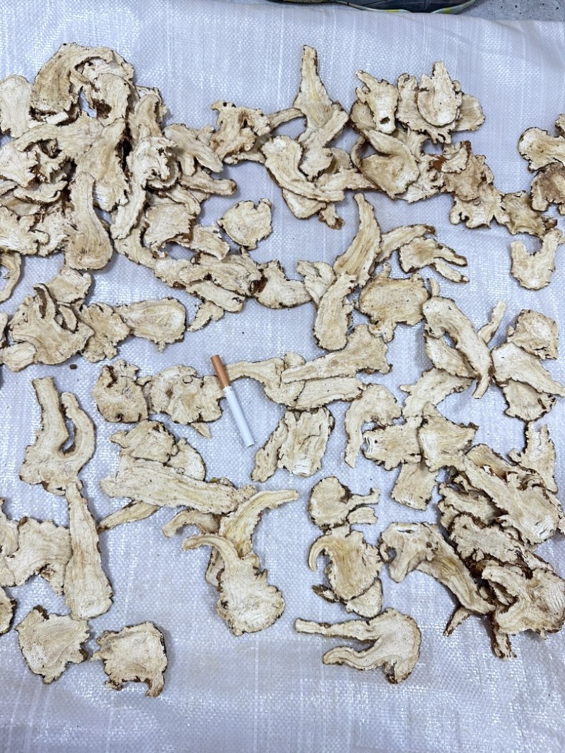 甘肃岷县当归头片。一级头片。手选货。量大从优品质无忧