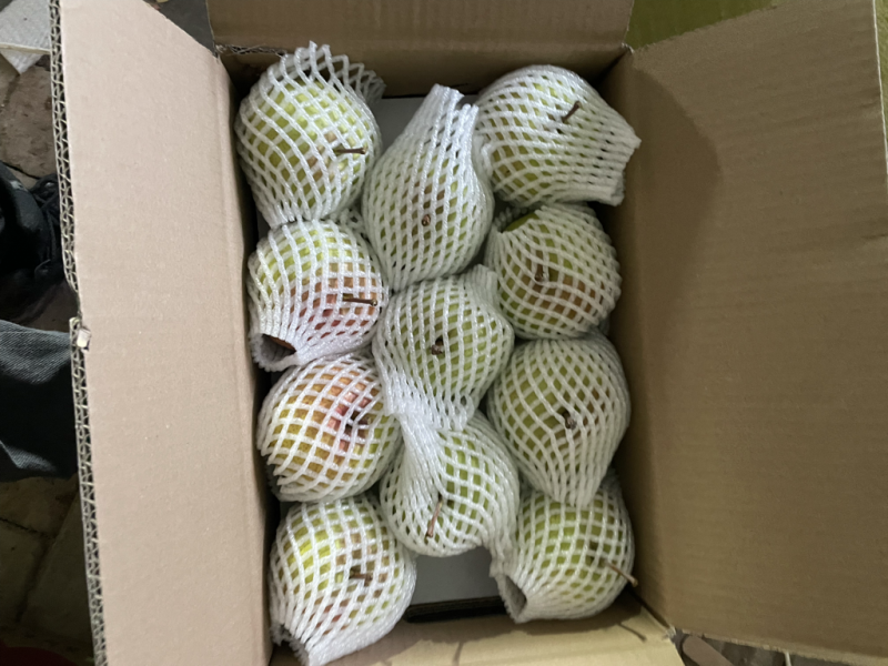 吉林延边龙井苹果梨东北特产苹果梨水果