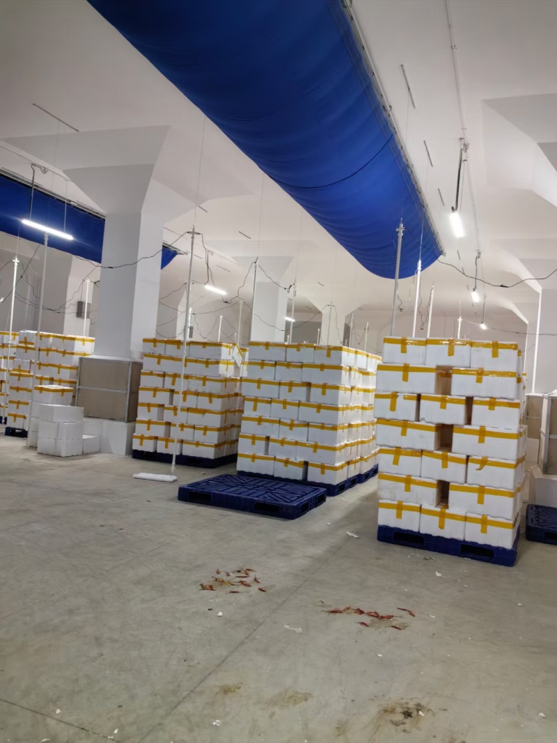 鲜采小米椒/存货60万吨