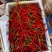 鲜采小米椒/存货60万吨