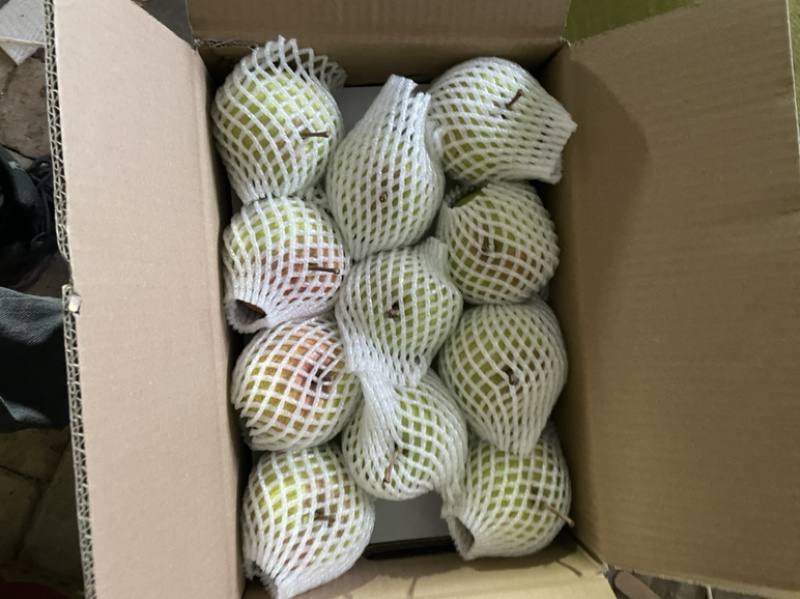 吉林延边龙井苹果梨东北特产苹果梨水果