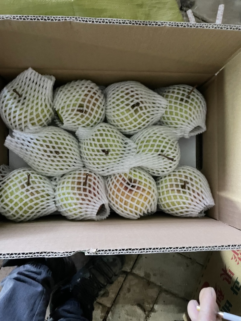 吉林延边龙井苹果梨东北特产苹果梨水果