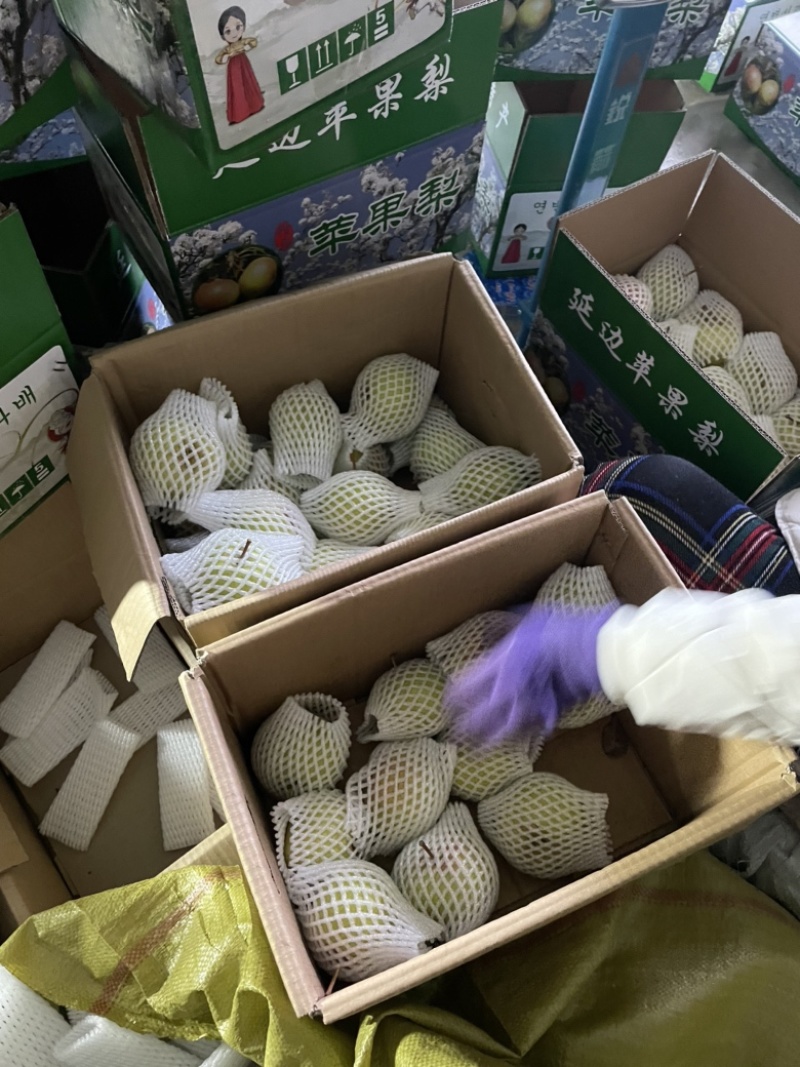 吉林延边龙井苹果梨东北特产苹果梨水果