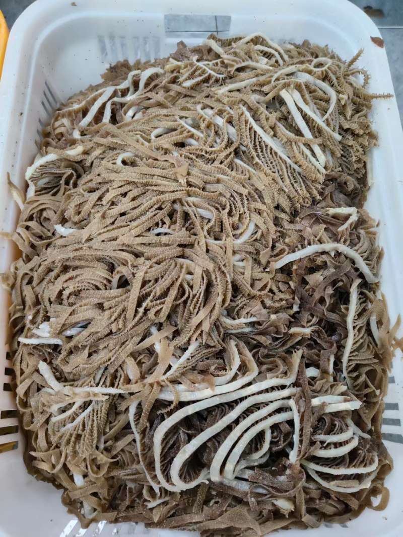 牛百叶，黑千层