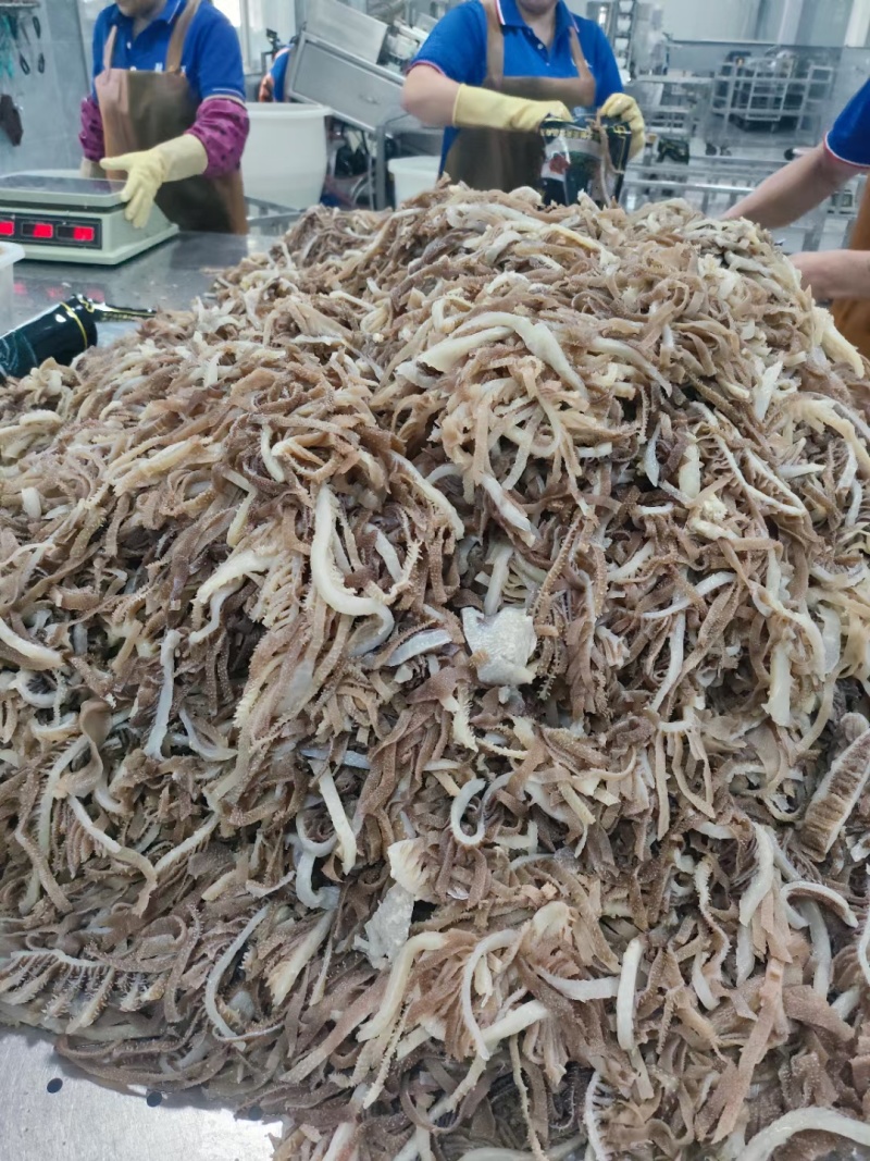 牛百叶，黑千层