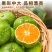 现货高山无籽蜜桔，橘子薄皮蜜橘青皮现摘，当季新鲜水果上市