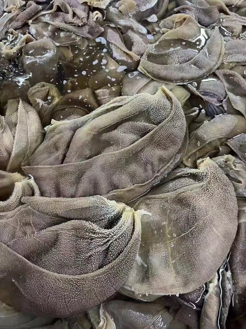 牛百叶，大叶片，中叶片，小叶片，量大从优，产地重庆