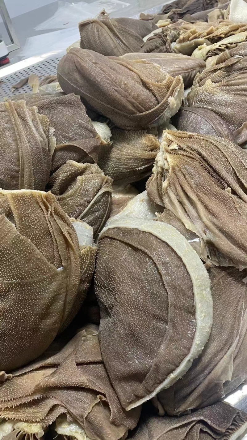 牛百叶，大叶片，中叶片，小叶片，量大从优，产地重庆