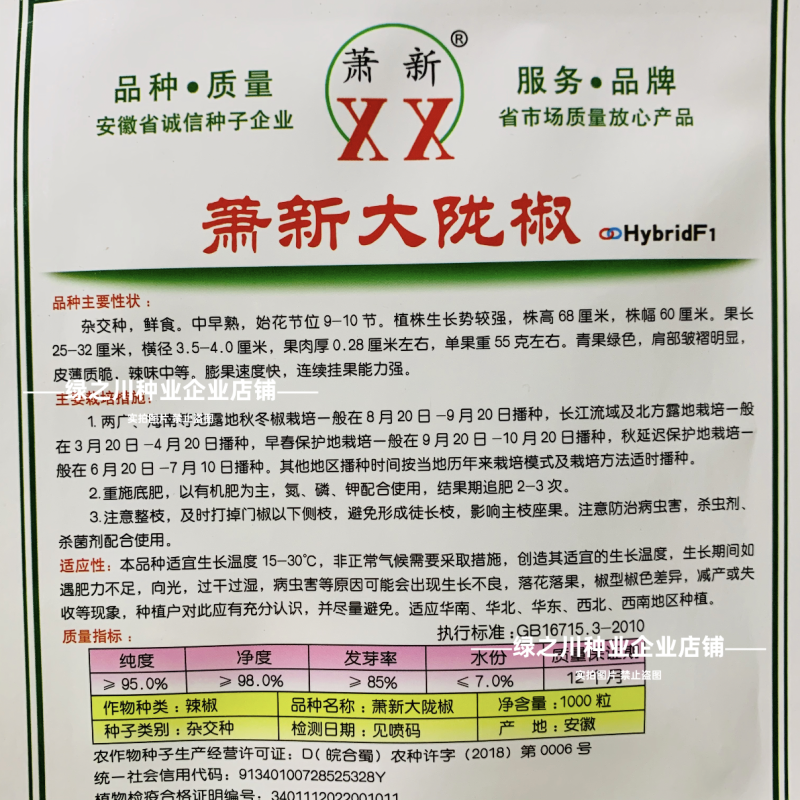 高产大果香辣陇椒种子萧新大陇椒种子薄皮螺丝椒种籽抗病辣椒