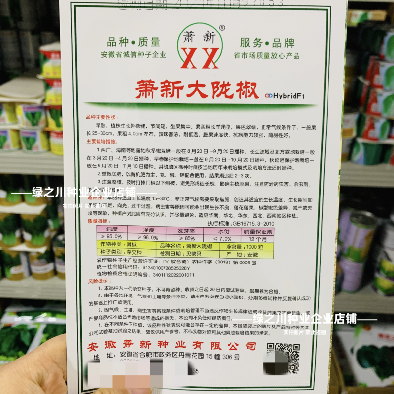 高产大果香辣陇椒种子萧新大陇椒种子薄皮螺丝椒种籽抗病辣椒