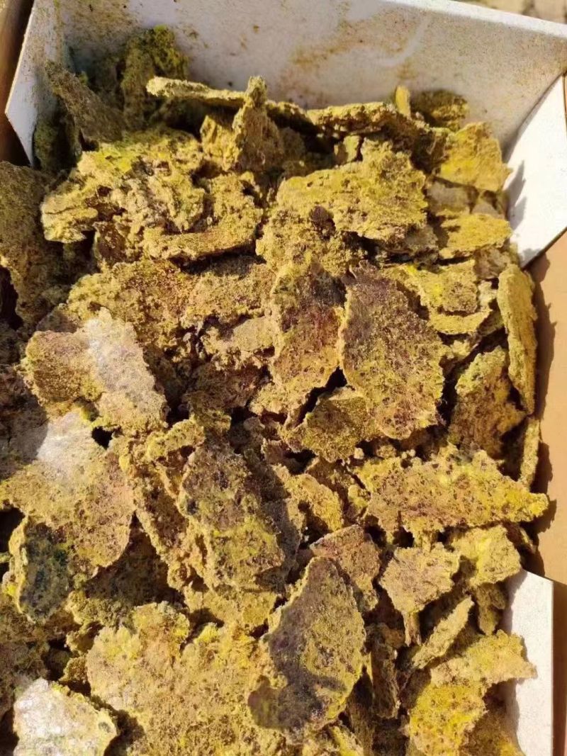 精品金棉籽饼肥，油厂直发，货源稳定。果园菌棚改良用