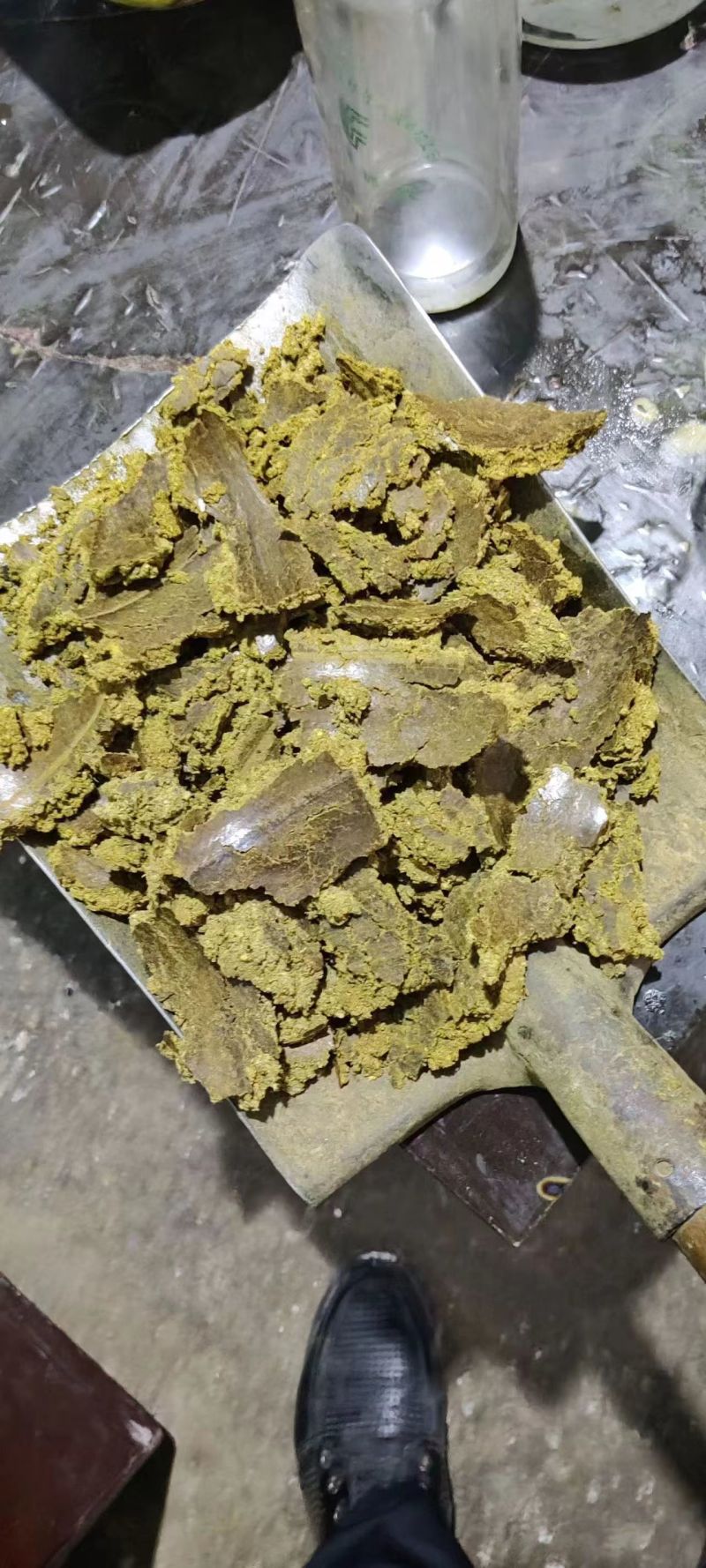 发酵棉籽饼肥，果蔬底肥免发酵，欢迎咨询合作