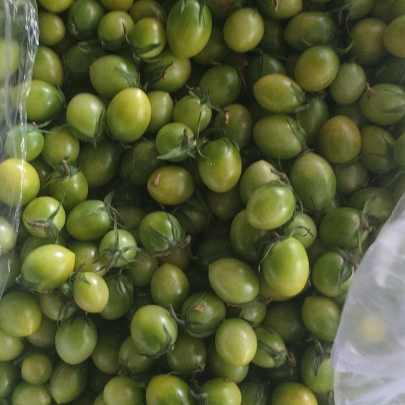 青甜2号小番茄，青霞绿色圣女果，青千喜，好吃极了！