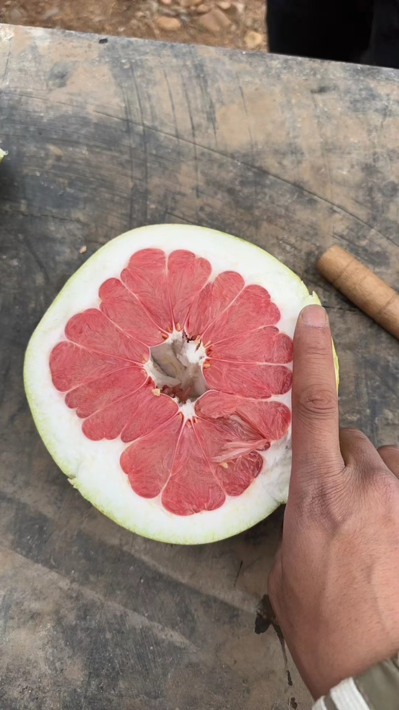 三红柚，红心柚大量上市，对接市场，电商，商超