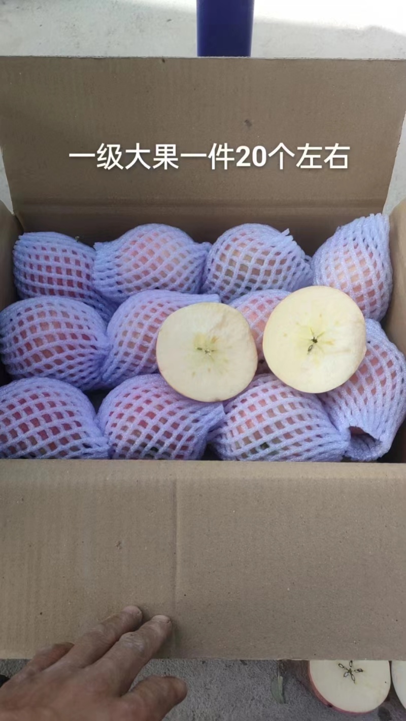 阿克苏苹果