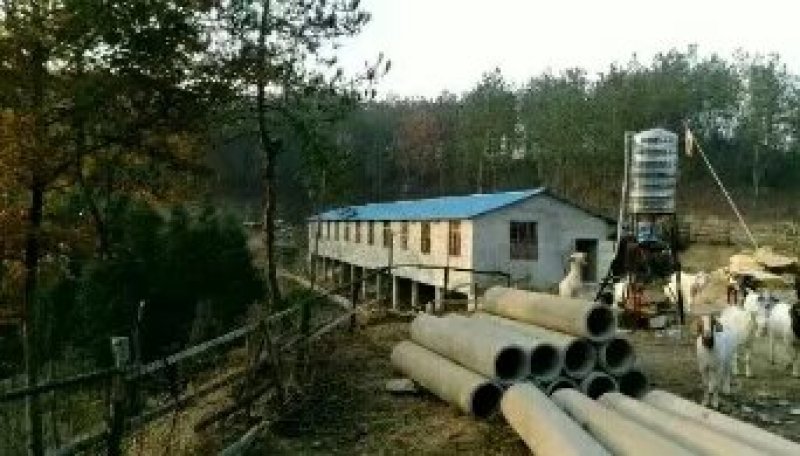 武汉周边，山林土地水库整租，分租，合作等都可以。