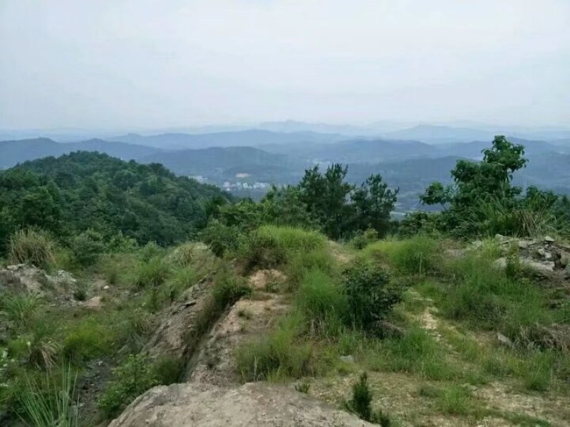 武汉周边，山林土地水库整租，分租，合作等都可以。