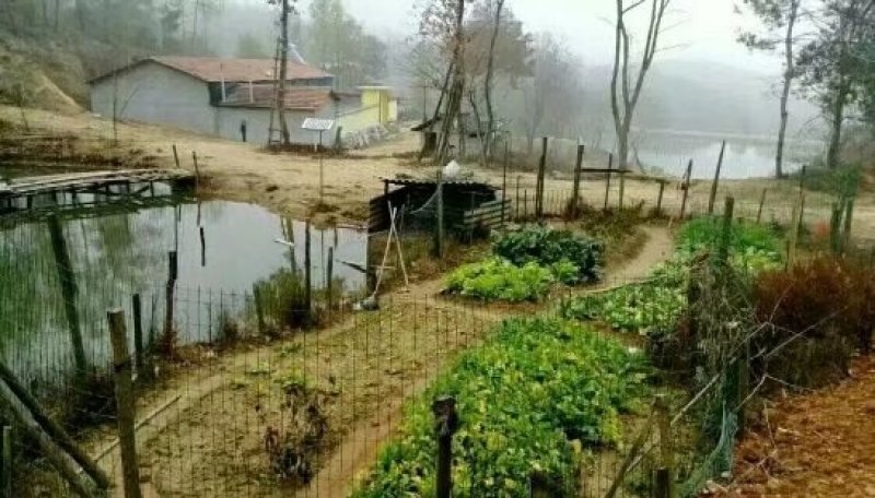 武汉周边，山林土地水库整租，分租，合作等都可以。