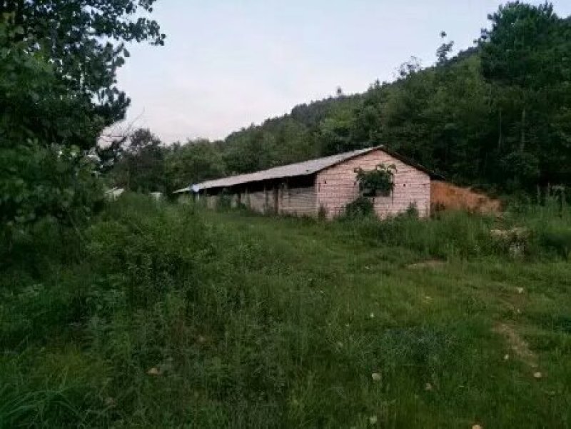 武汉周边，山林土地水库整租，分租，合作等都可以。