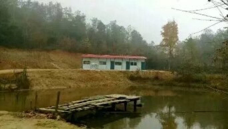 武汉周边，山林土地水库整租，分租，合作等都可以。