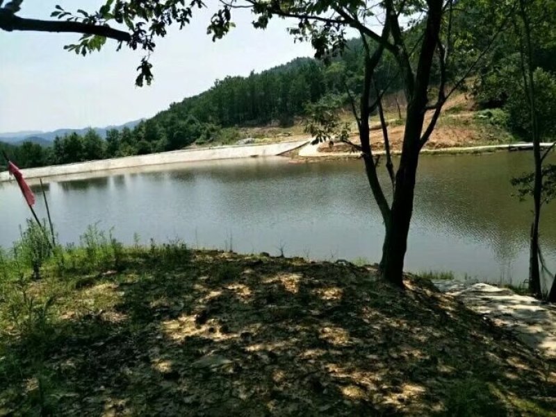 武汉周边，山林土地水库整租，分租，合作等都可以。