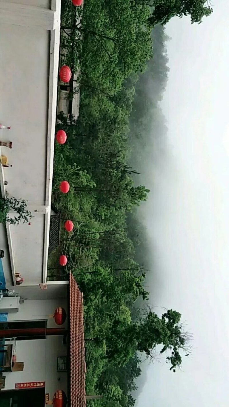 武汉周边，山林土地水库整租，分租，合作等都可以。