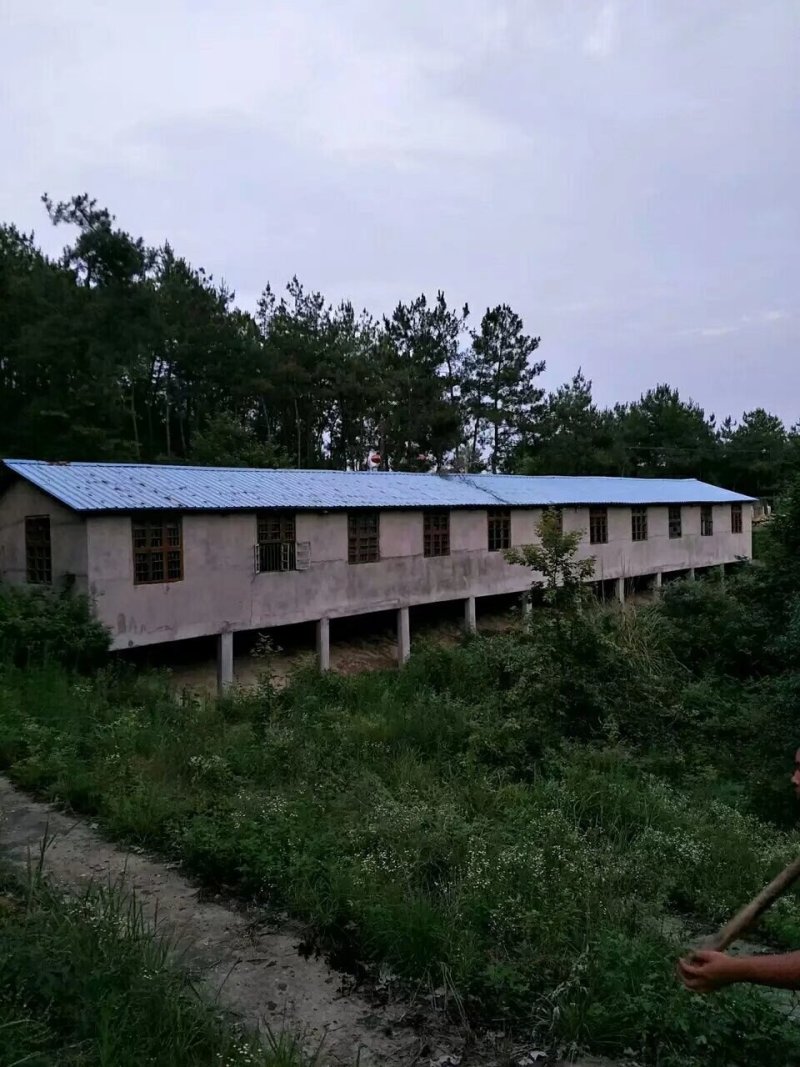 武汉周边，山林土地水库整租，分租，合作等都可以。
