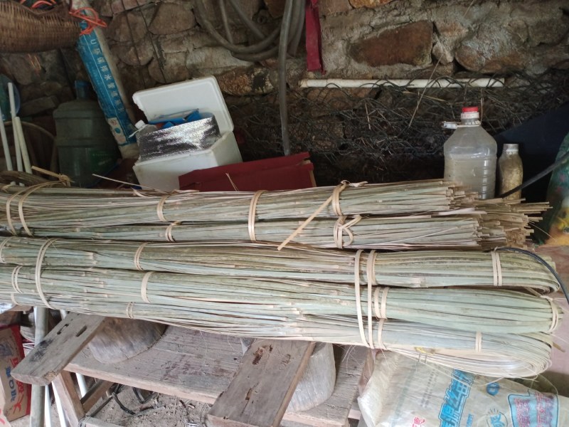 广东菜架竹