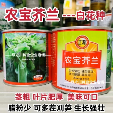 广东白花芥兰种子正源和利农蔬菜种籽农宝芥兰种子白花蜡粉少