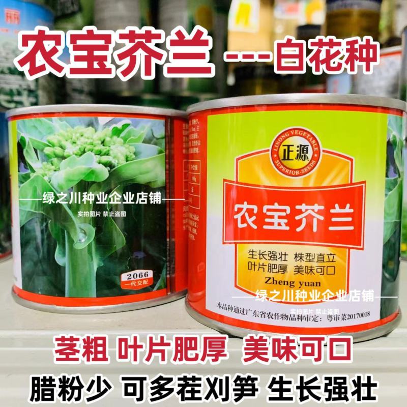 广东白花芥兰种子正源和利农蔬菜种籽农宝芥兰种子白花蜡粉少