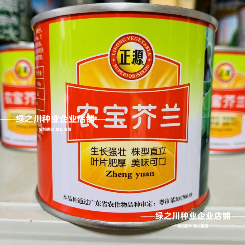 广东白花芥兰种子正源和利农蔬菜种籽农宝芥兰种子白花蜡粉少
